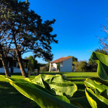 Mas Le Sauvageon Hotell Saintes-Maries-de-la-Mer Eksteriør bilde