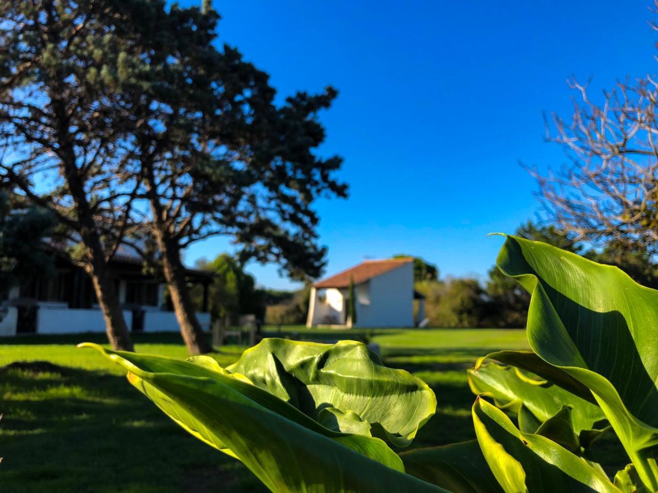 Mas Le Sauvageon Hotell Saintes-Maries-de-la-Mer Eksteriør bilde